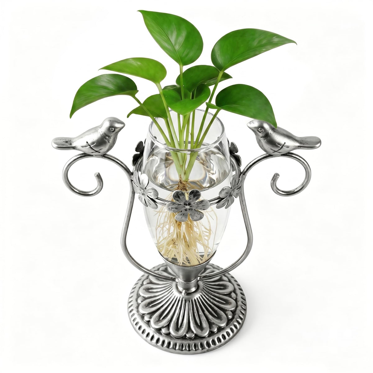 POXOHO Tabletop Plant Propagation Station with hummingbirds front view