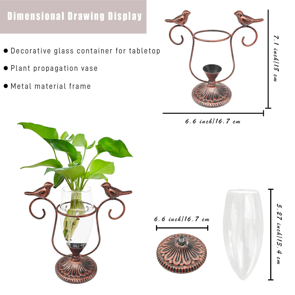 POXOHO terrarium displaying an aquatic plant arrangement