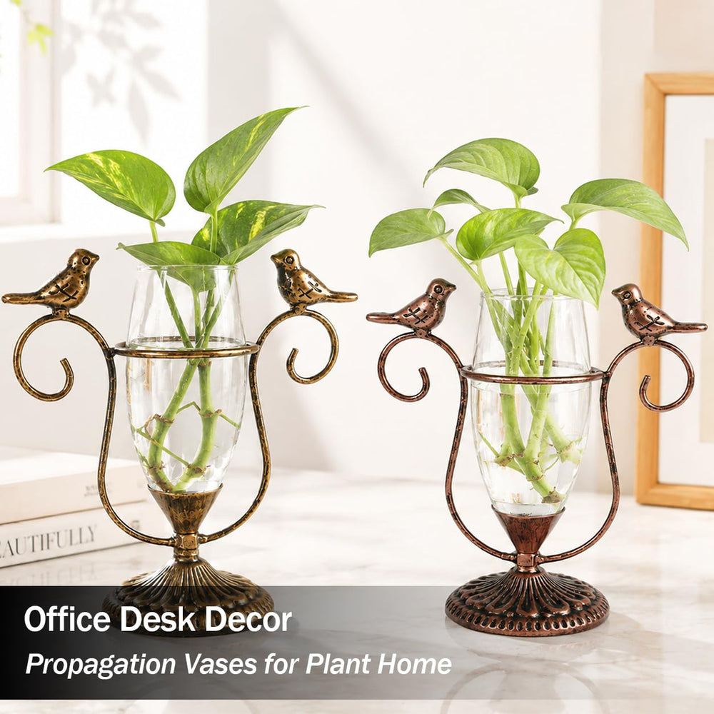 POXOHO terrarium set in elegant packaging
