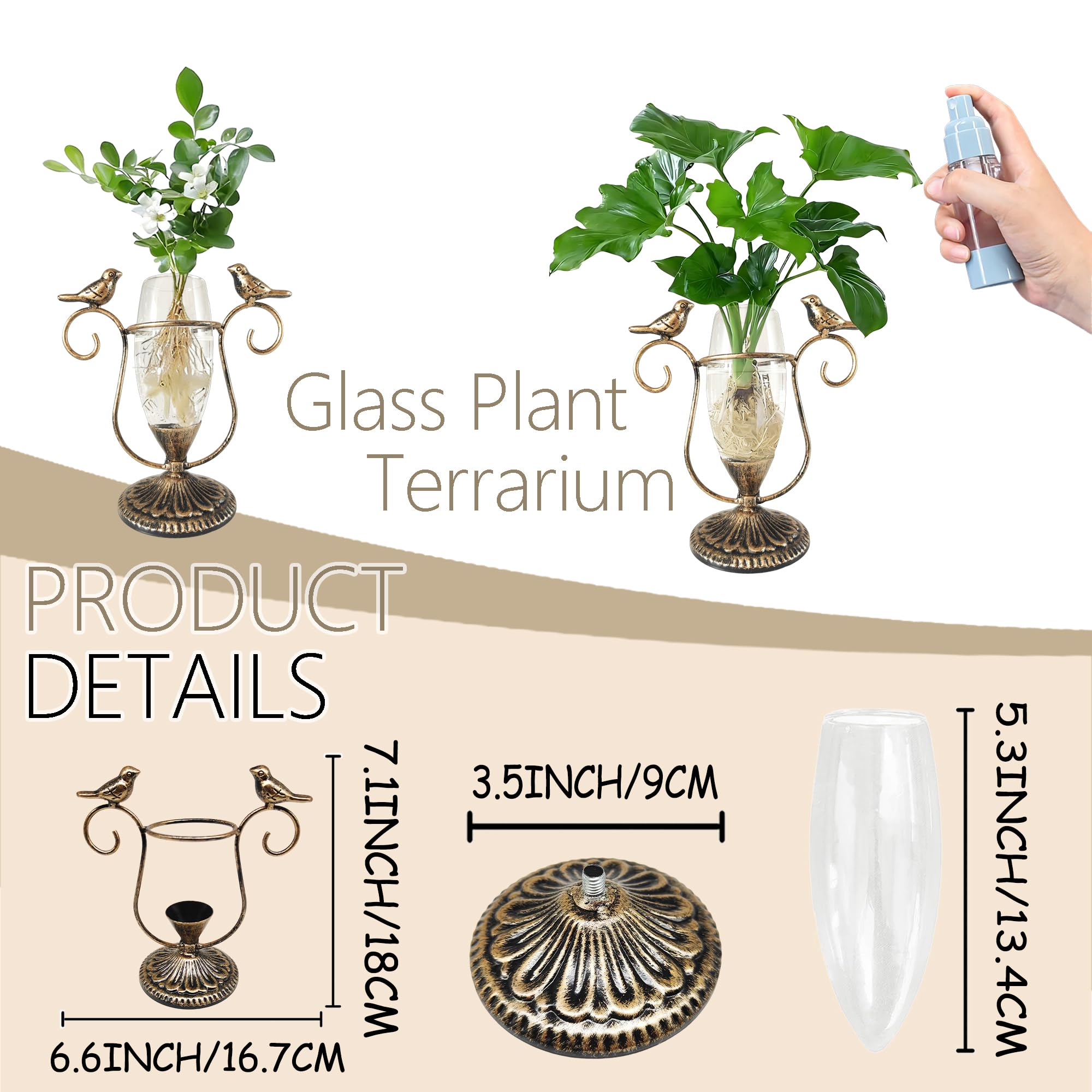 POXOHO terrarium vase on a desk with plant cuttings