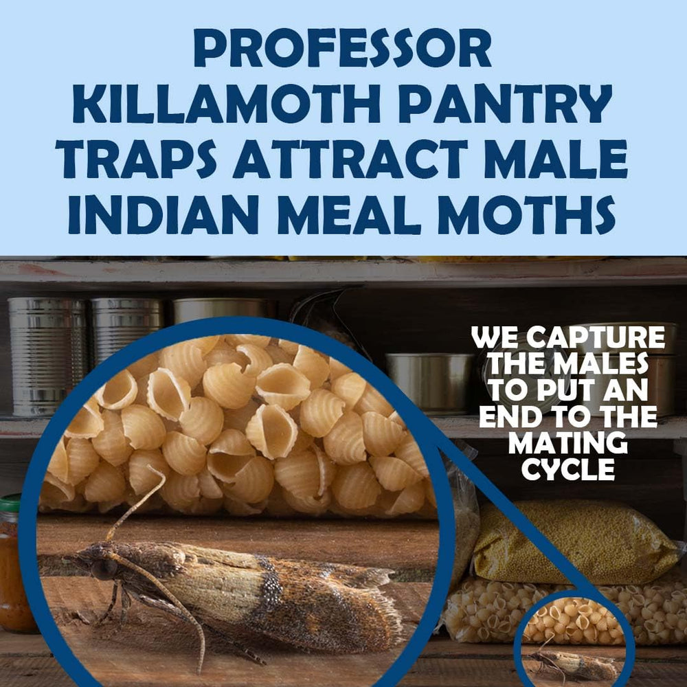 Professor Killamoth Pantry Moth Trap displayed in a pantry