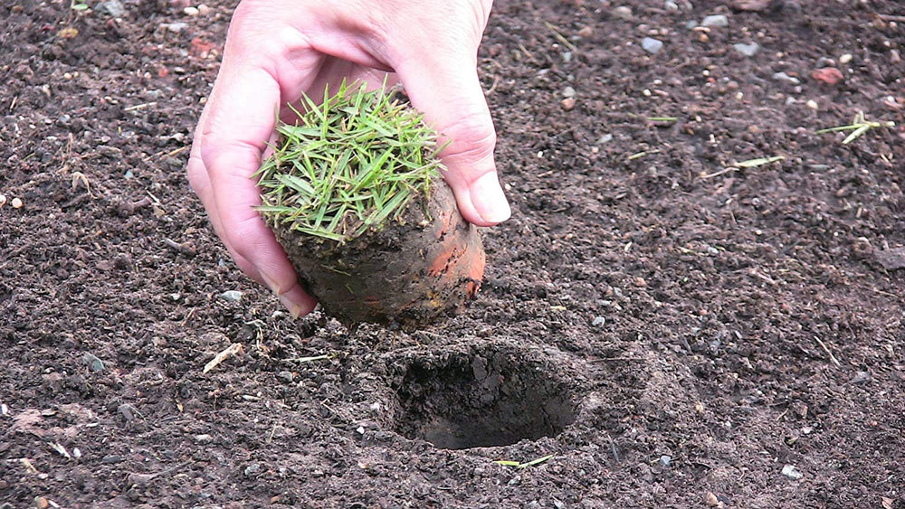 ProPlugger 5-IN-1 Lawn Tool in a garden setting