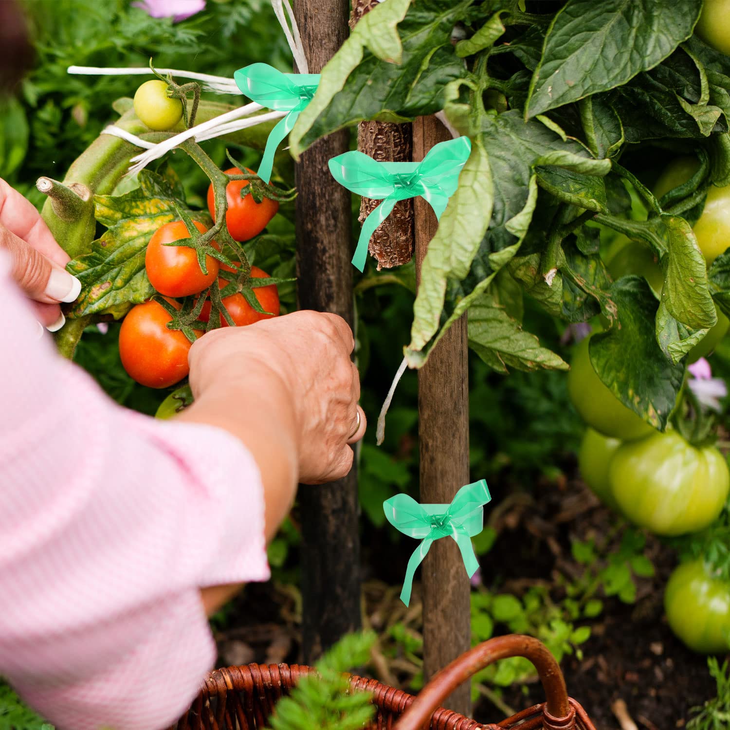 Prudiut plant tape on a vegetable garden