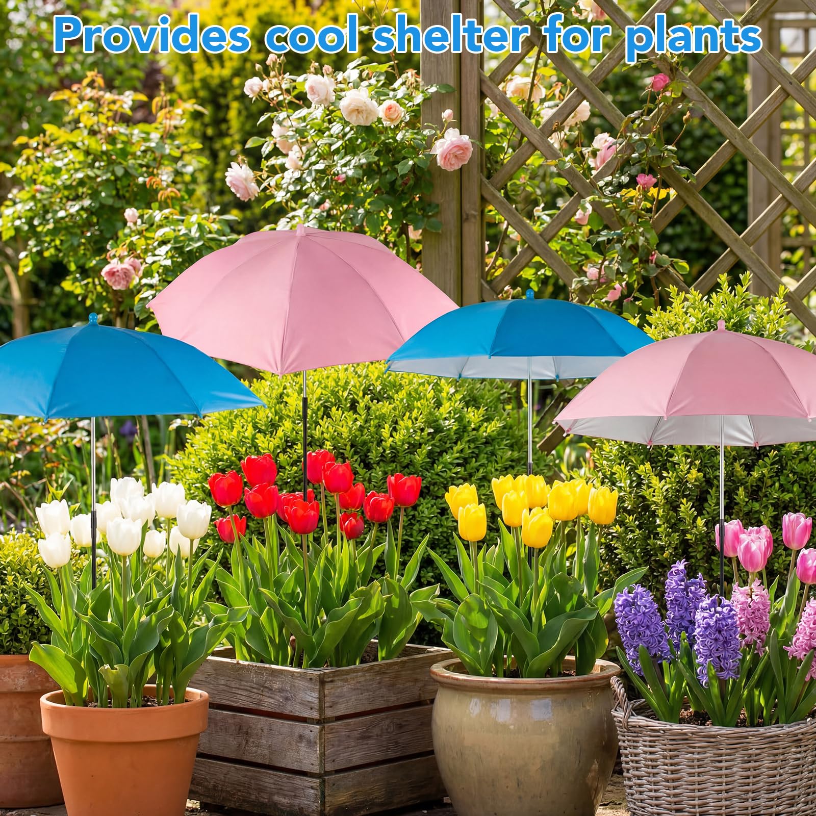 Prudiut Plant Umbrella protecting potted flowers