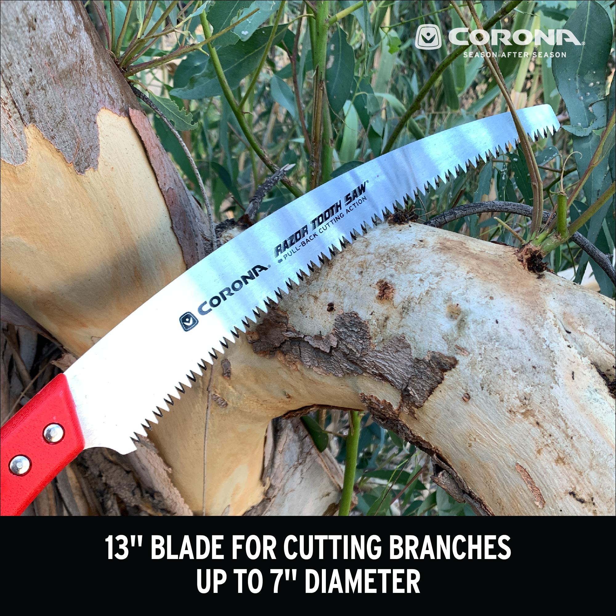 Pruning saw cutting through a thick branch