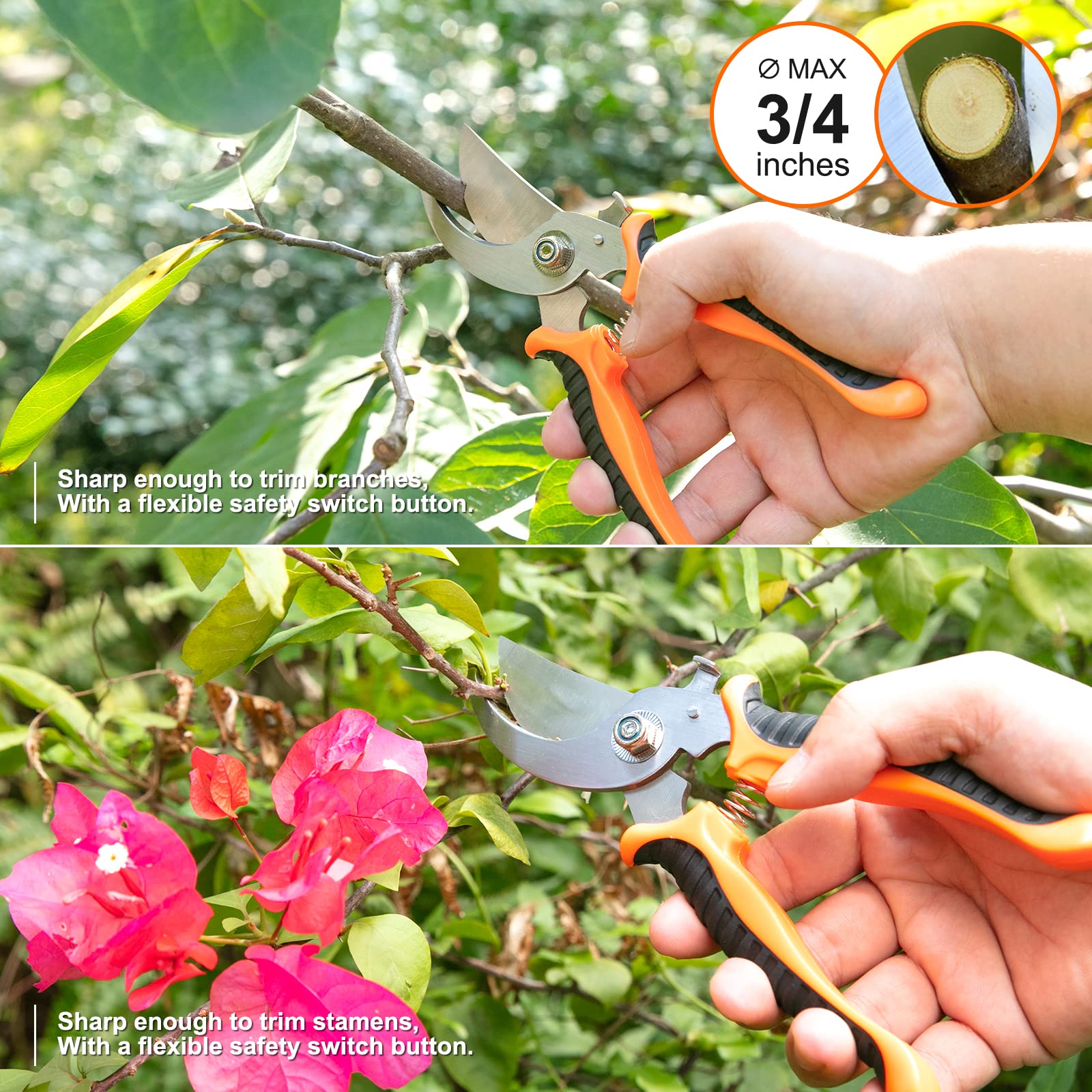 Pruning shears from CHRYZTAL Gardening Tool Set