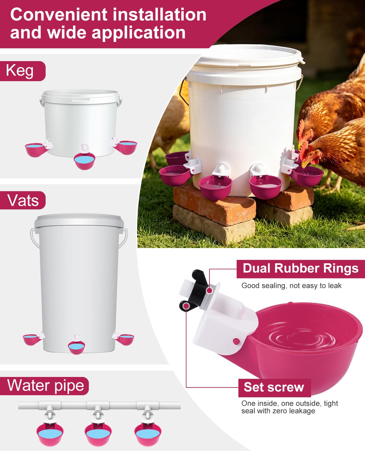 psarnuk Chicken Waterer Cups in use with chickens