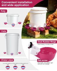 psarnuk Chicken Waterer Cups in use with chickens