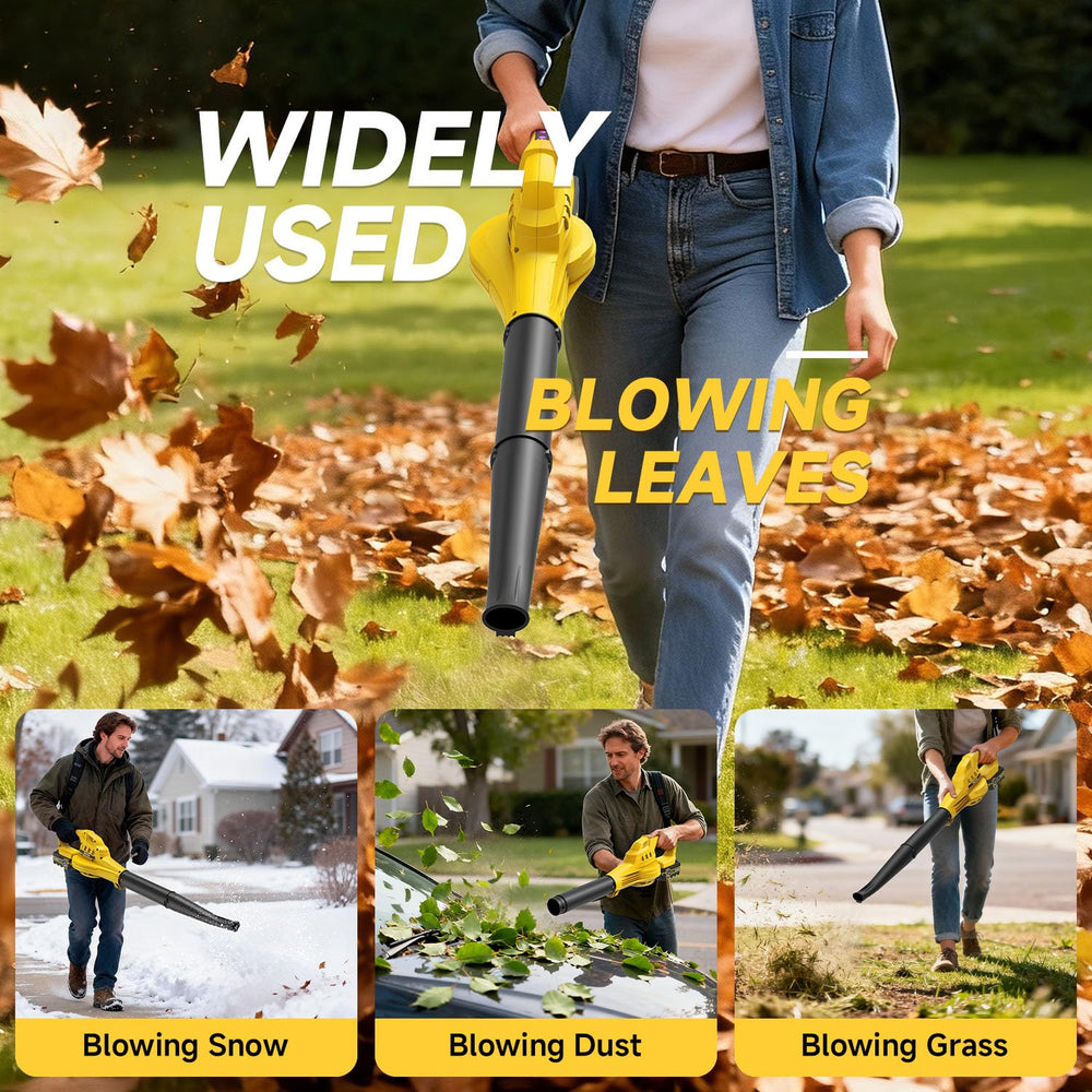 PULITUO Leaf Blower user manual and accessories