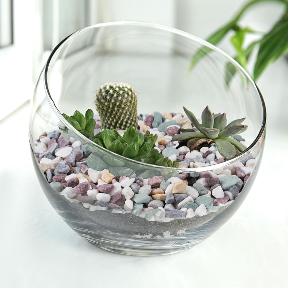 Pulovin gravel used as top dressing for potted plants