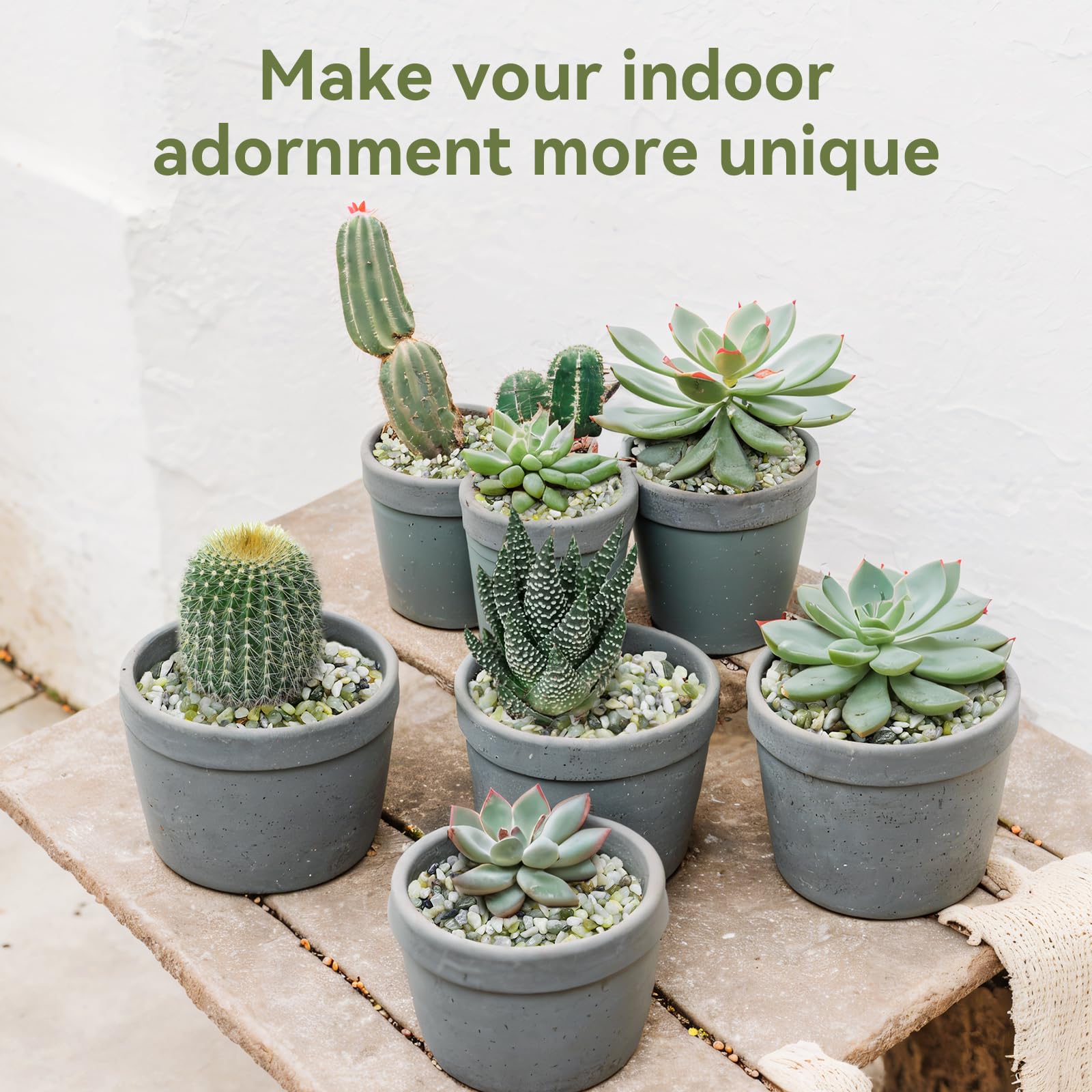 Pulovin Jade Pebbles with vibrant indoor plants