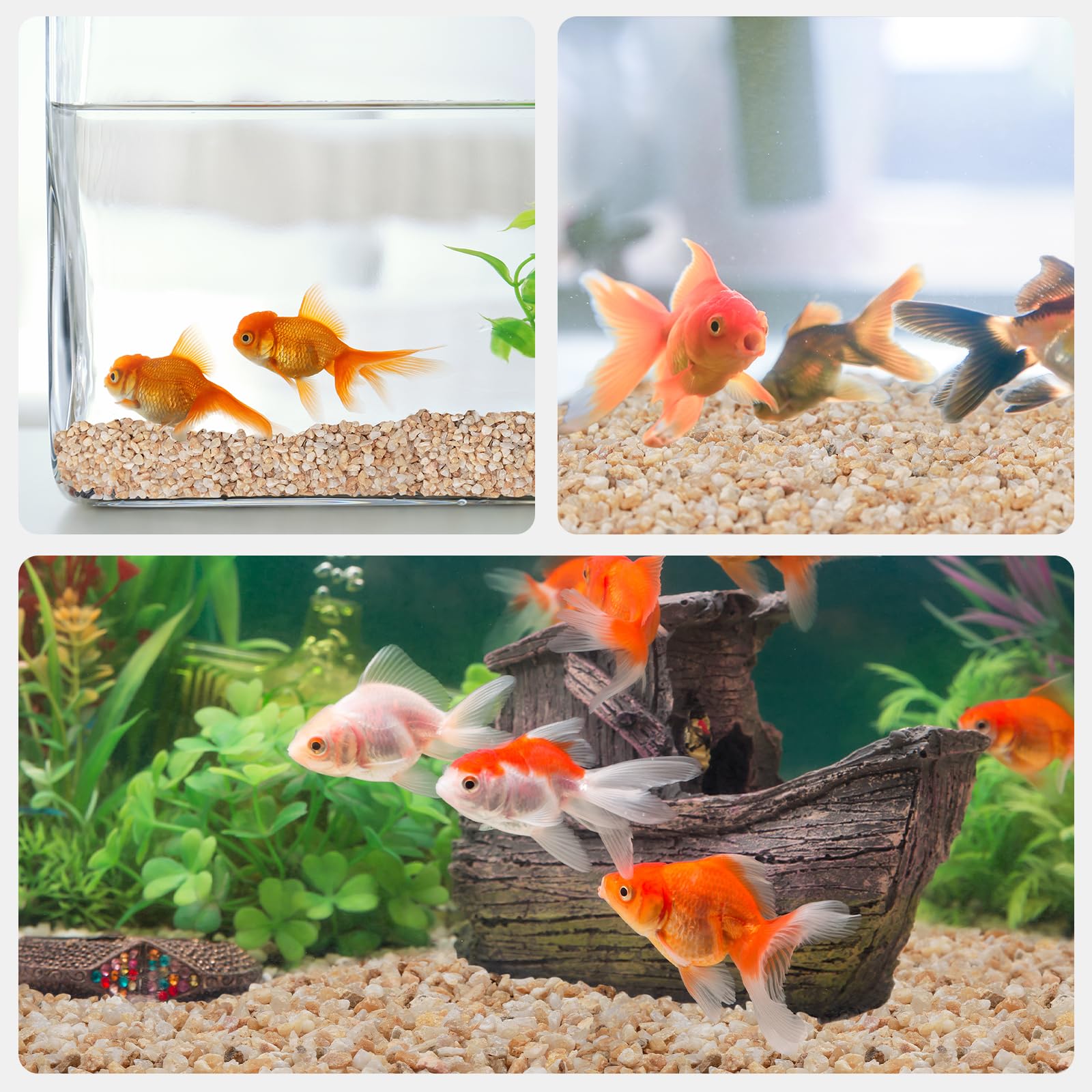 Pulovin sand used as aquarium gravel