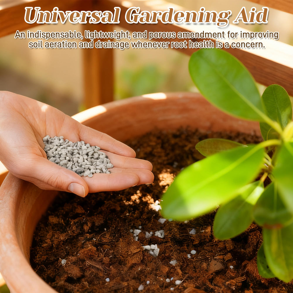 Pumice particles mixed in potting soil for better drainage
