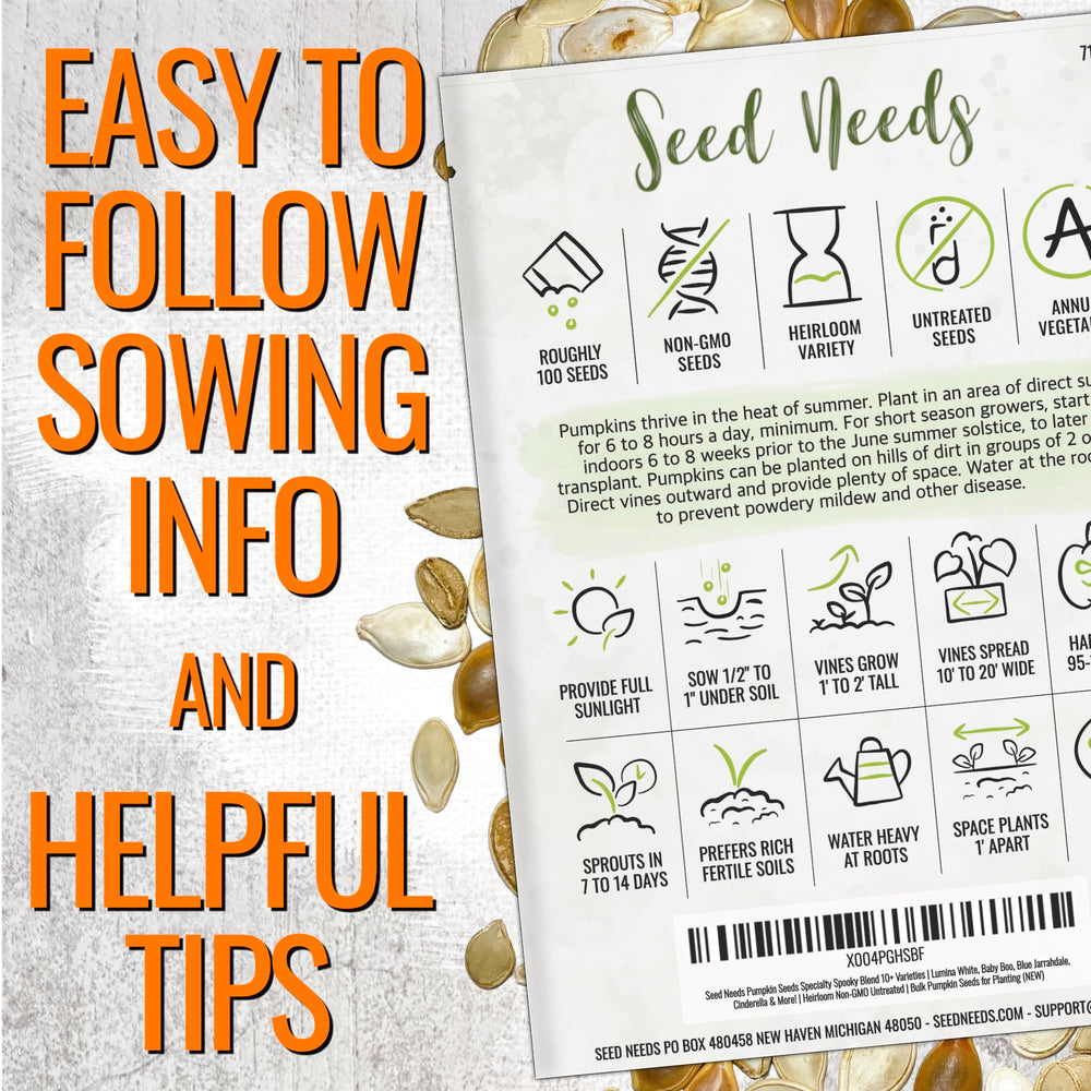 Pumpkin seeds in resealable pouch by Seed Needs