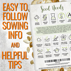 Pumpkin seeds in resealable pouch by Seed Needs