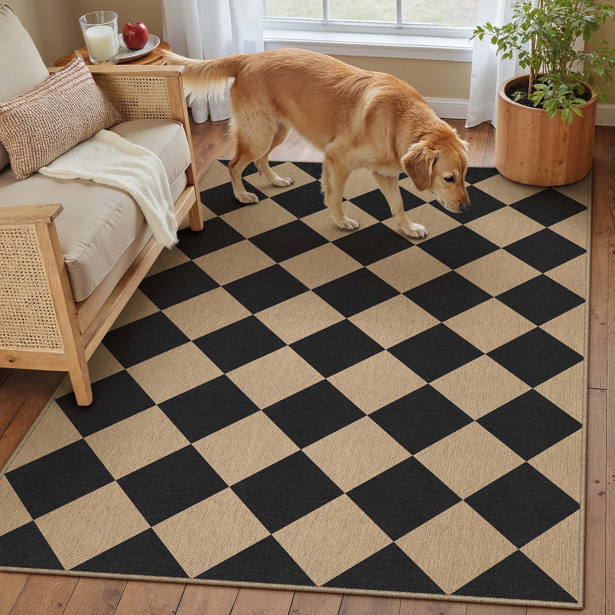 PureCozy 4x6 Rug rolled up for storage