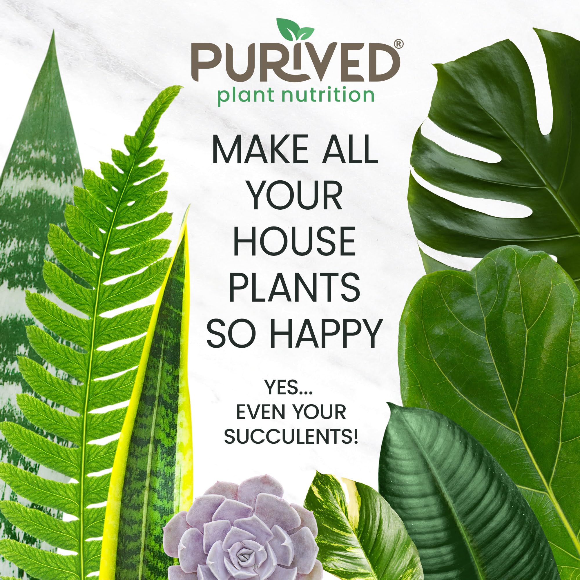 Purived fertilizer ingredients list on the bottle