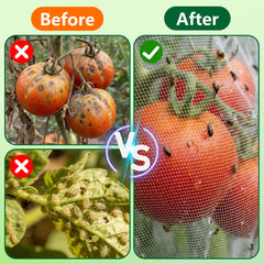 PURPLE STAR 1N netting cover protecting tomato plants
