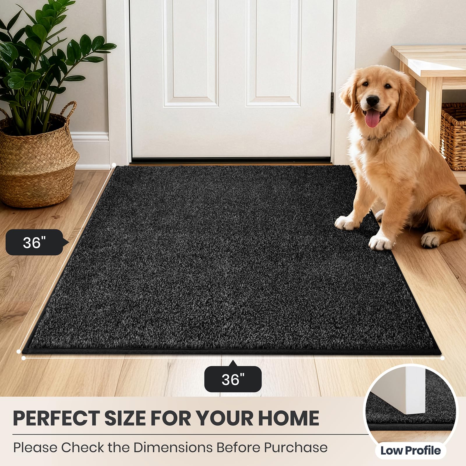 PURRUGS Dirt Trapping Indoor Door Mat features and specifications