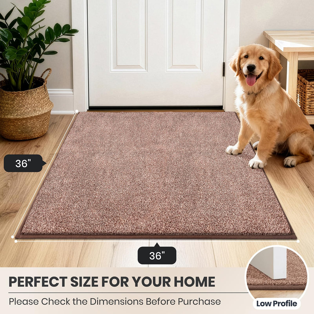 PURRUGS Dirt Trapping Indoor Door Mat with pet on it