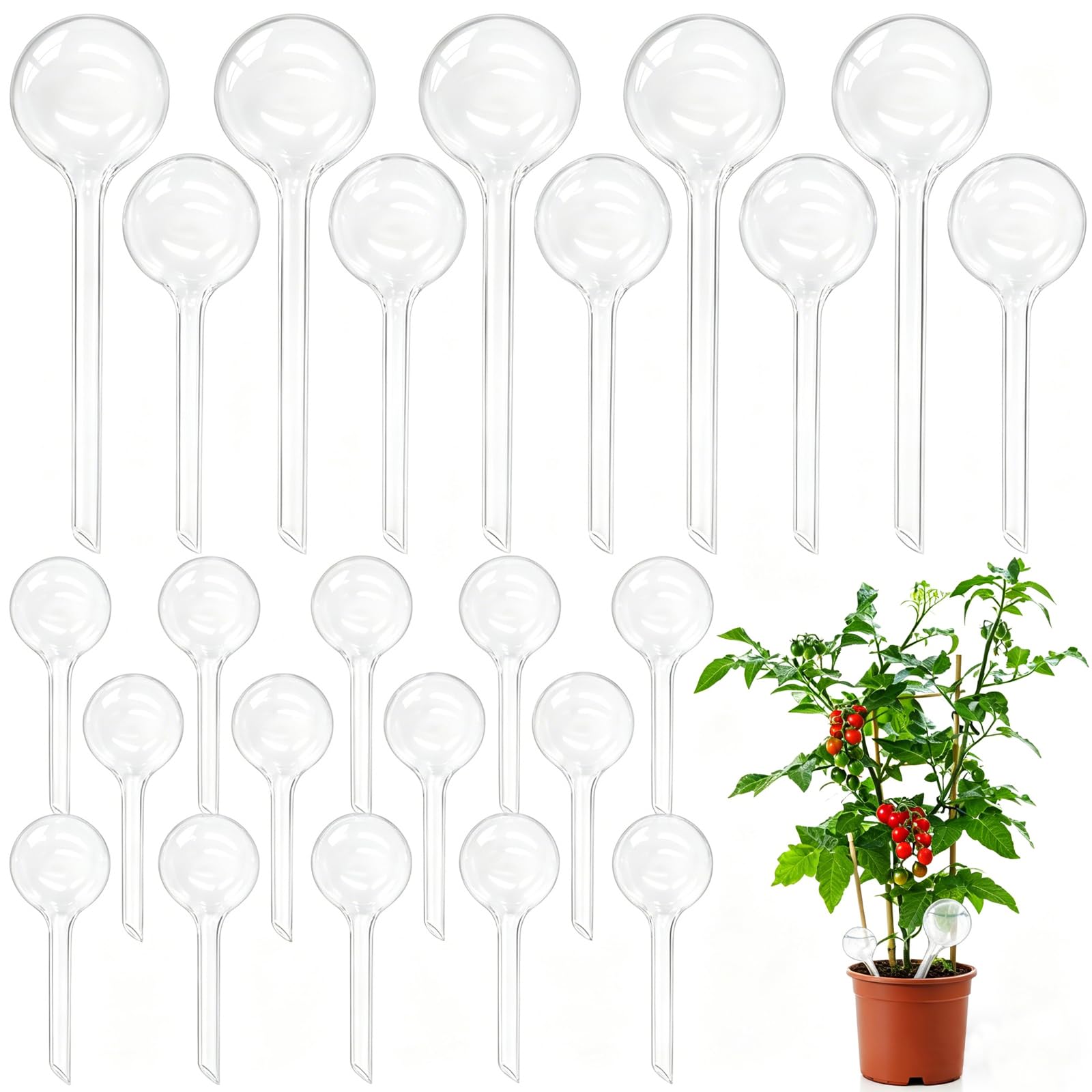 Pynqdfu 24 pcs plant watering globes, clear plastic set