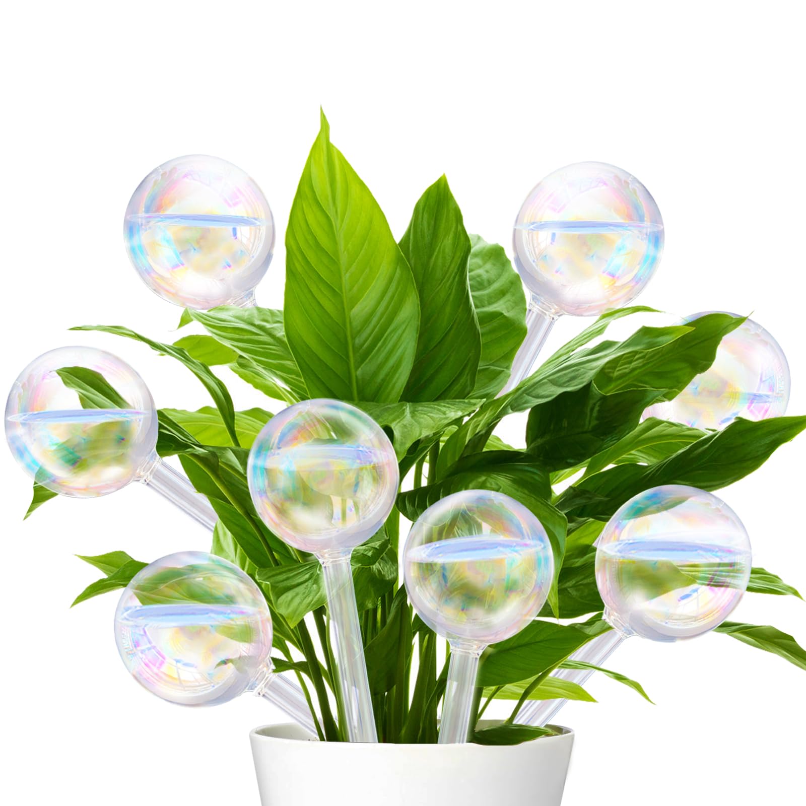 Pynqdfu 8 pcs plant watering globes in rainbow gradient