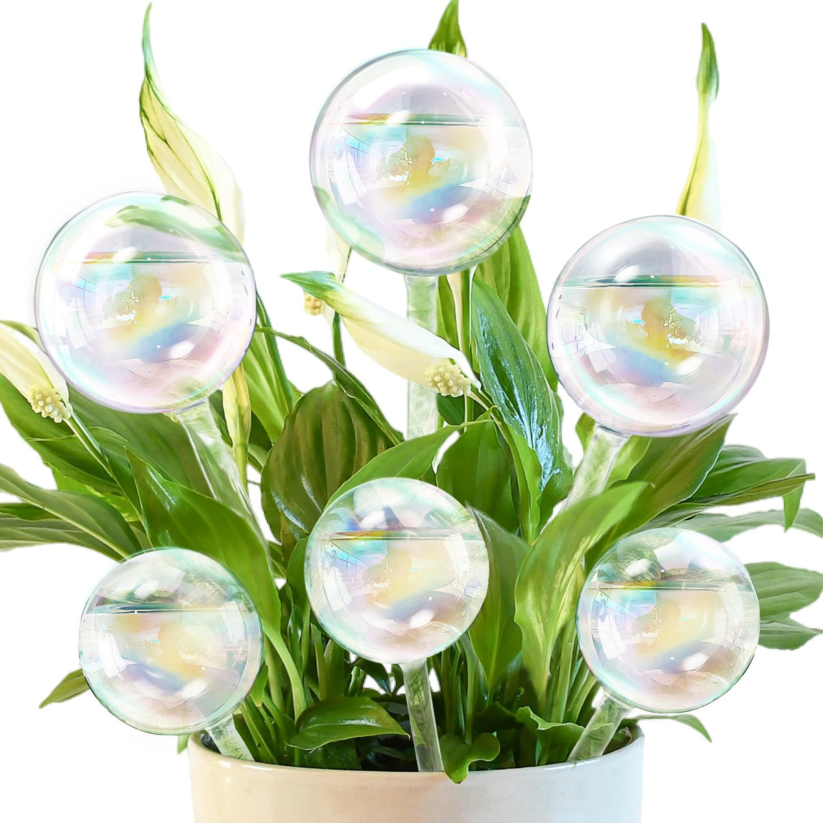 Pynqdfu iridescent glass plant watering globe large size