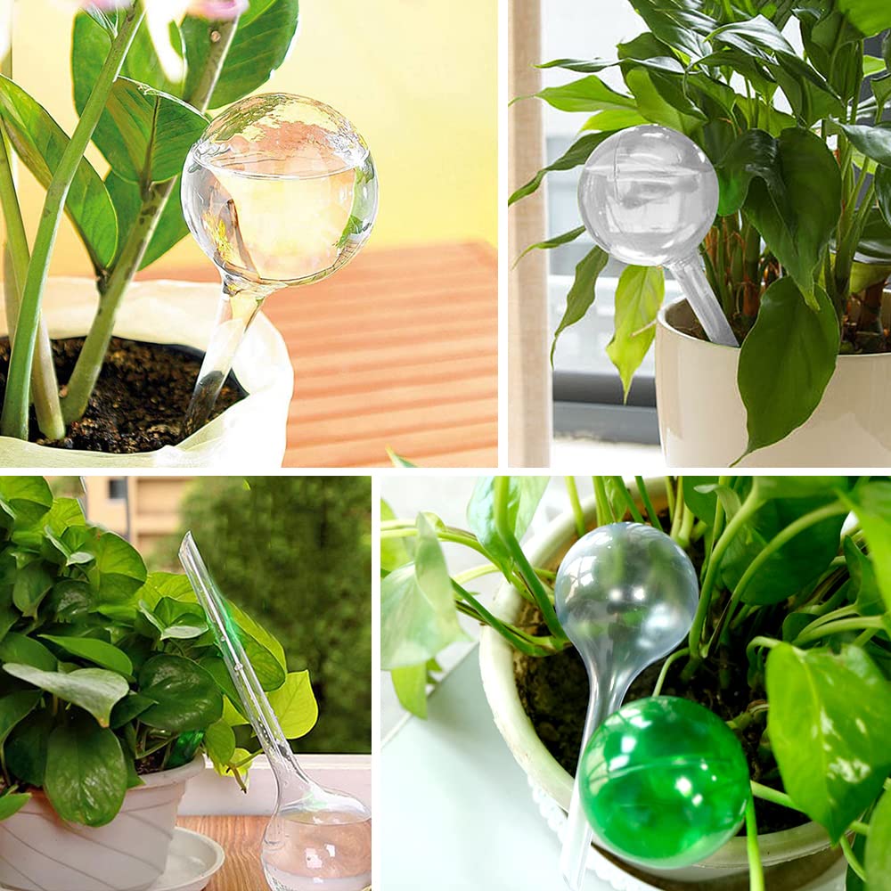 Pynqdfu self-watering bulbs displayed with indoor plants