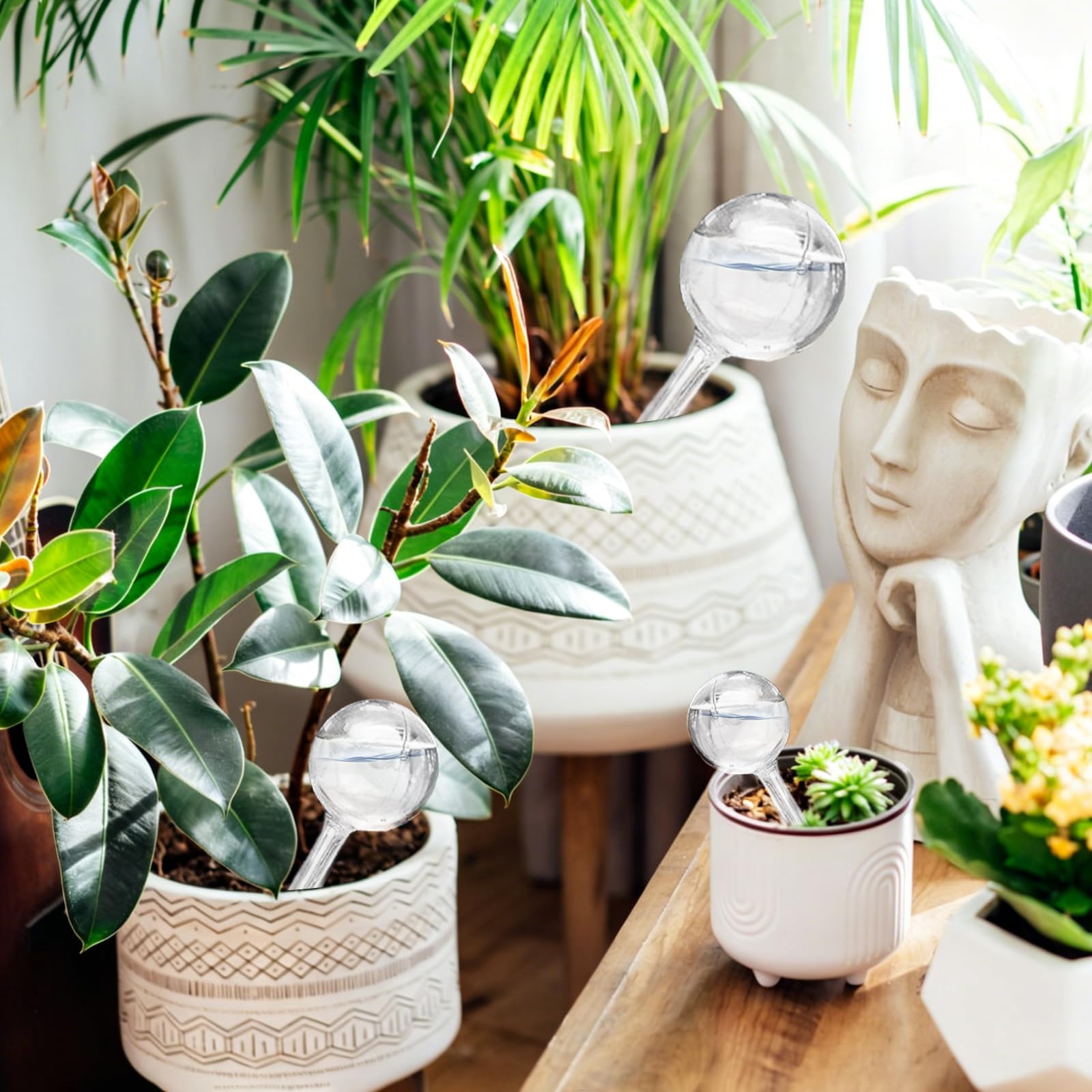 Pynqdfu watering globes inserted in potted plants