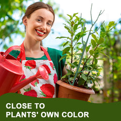 Qaobo plant stakes inserted in pots with Monstera and Pothos