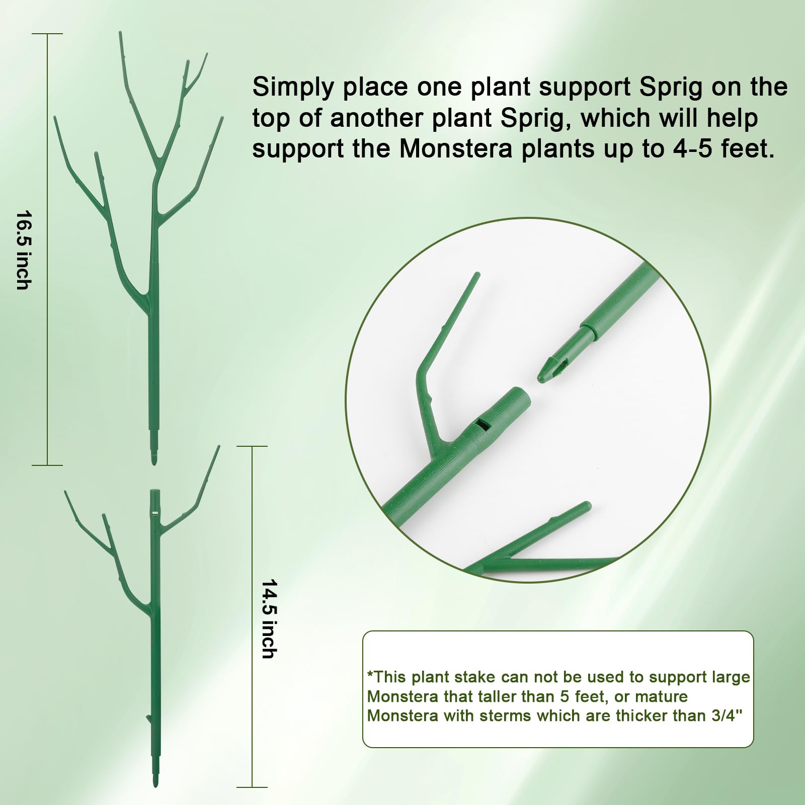 Qaobo plant support stakes in a garden with climbing plants