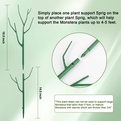 Qaobo plant support stakes in a garden with climbing plants