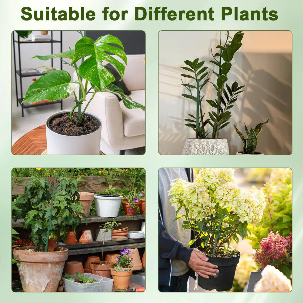 Qaobo plant support stakes in natural garden setting