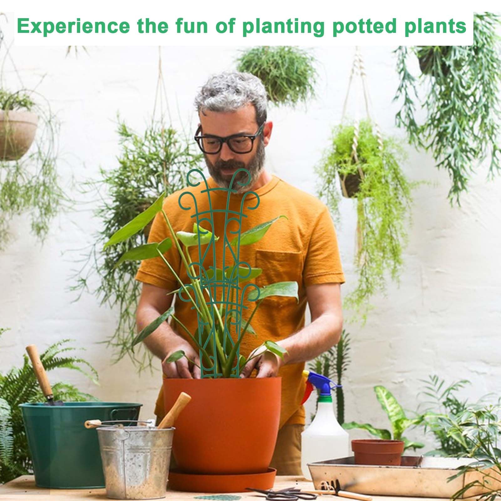 Qaobo Plant Trellis installation in potted plants