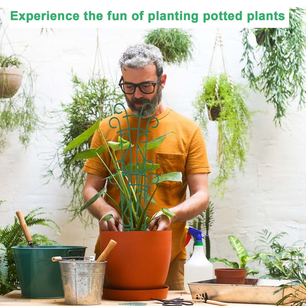 Qaobo Plant Trellis installation in potted plants