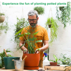Qaobo Plant Trellis installation in potted plants