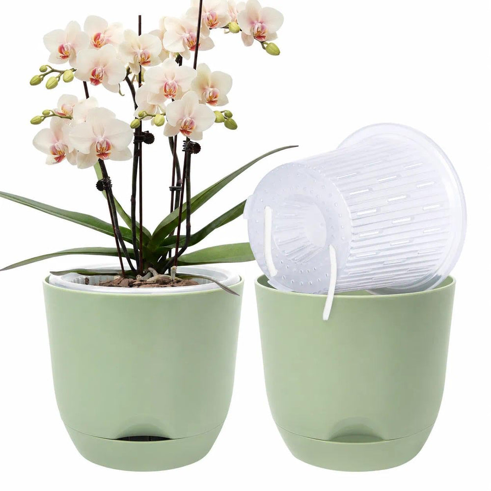 QCQHDU 5.7 Inch Orchid Pot green color front view