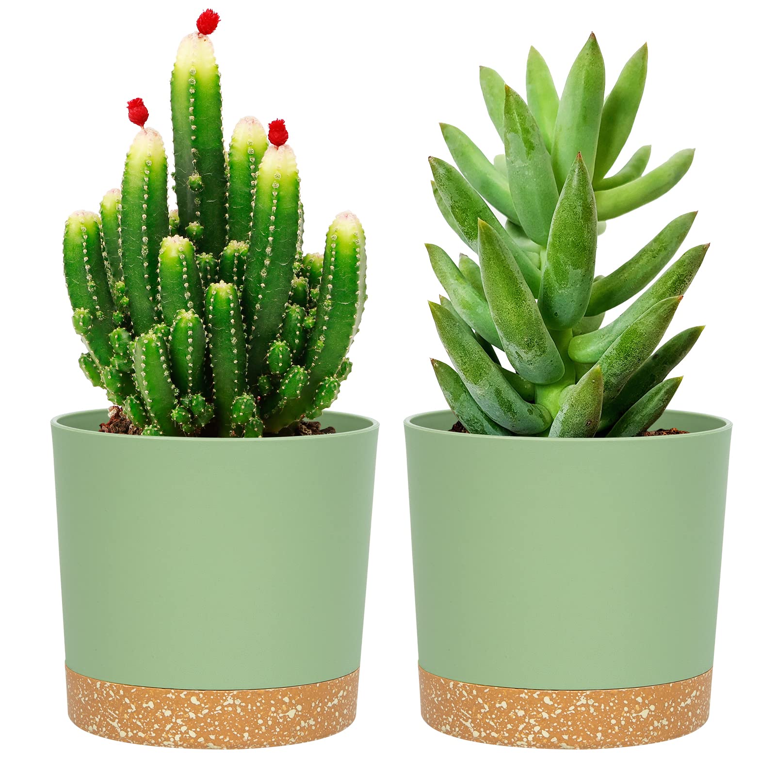 QCQHDU 5 inch green plant pot front view with saucer