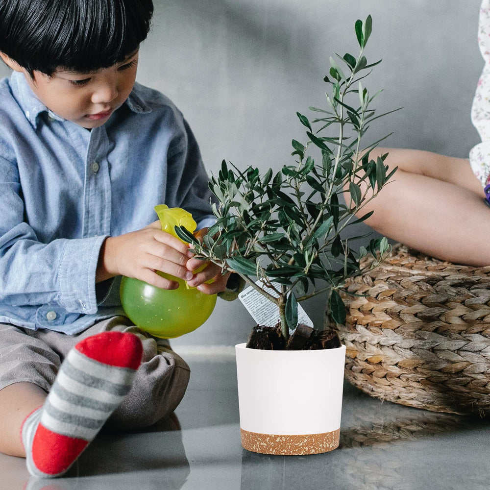 QCQHDU 5 inch plant pot collection with mixed plants