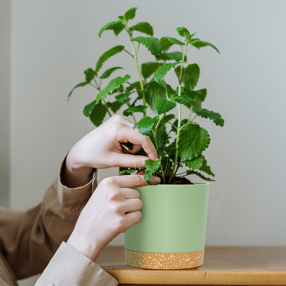 QCQHDU 5 inch plant pot collection with various sizes