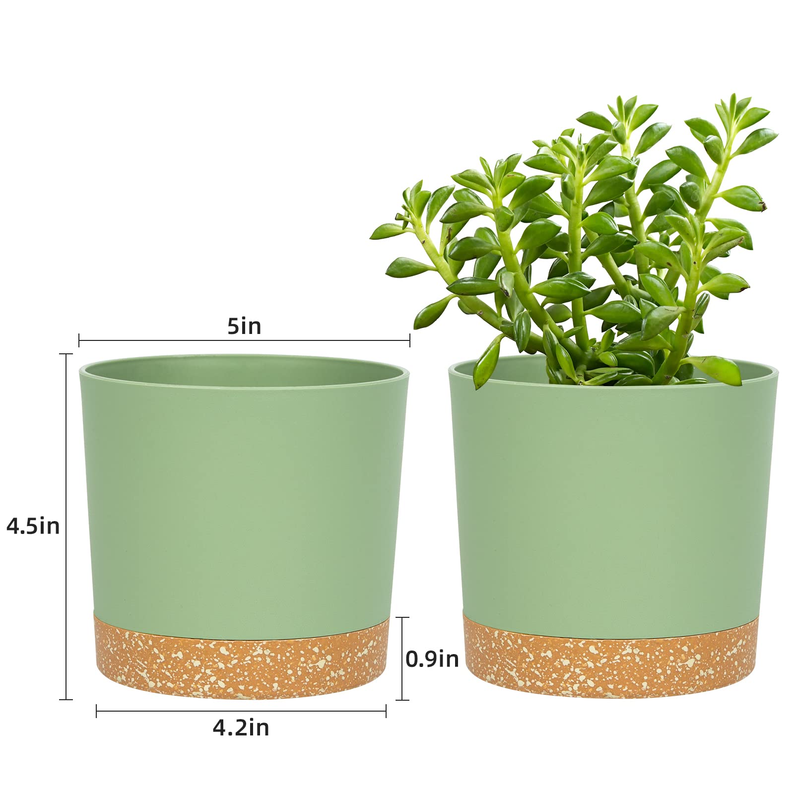 QCQHDU 5 inch plant pot side view showcasing drainage hole