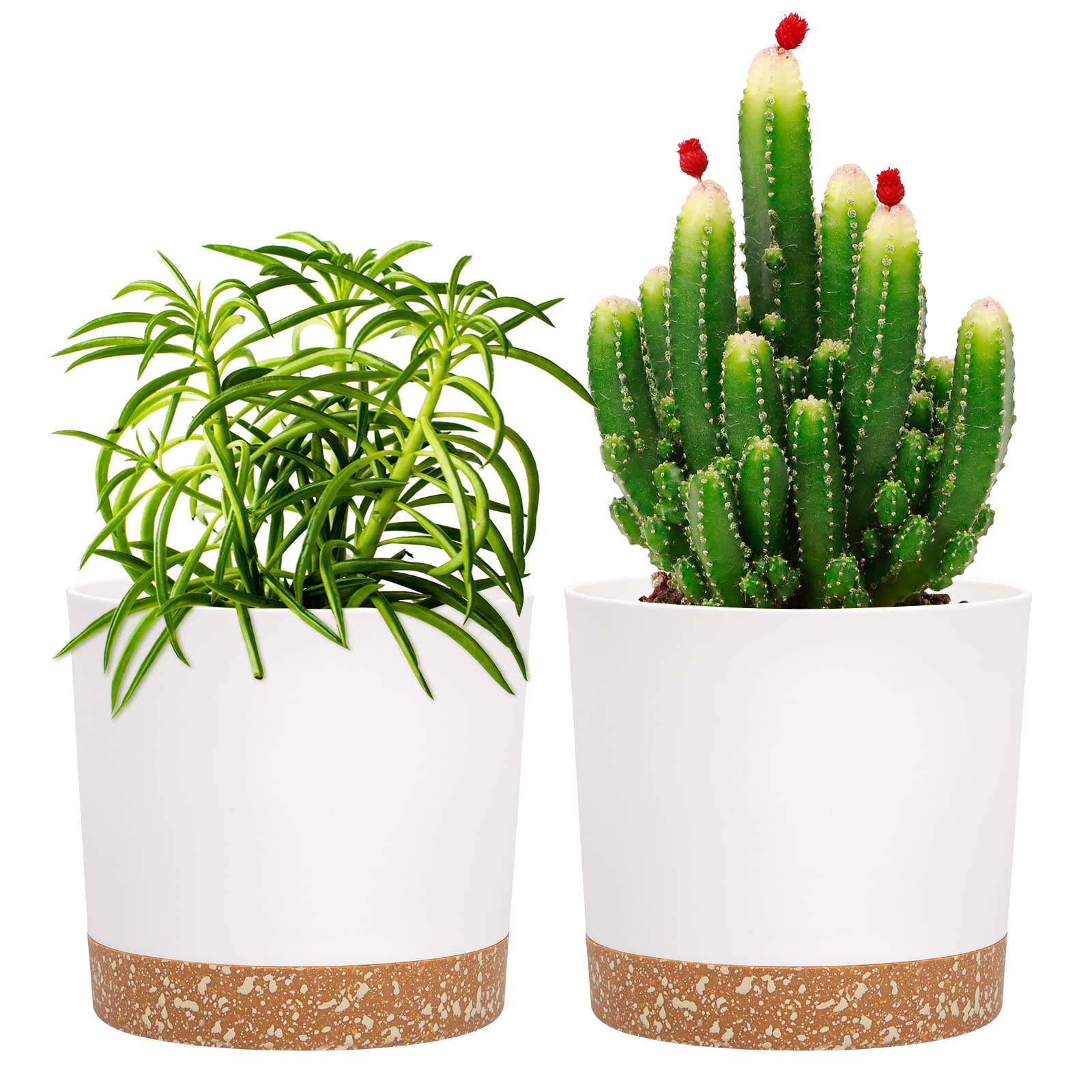 QCQHDU 5 inch plant pot white model front view with saucer