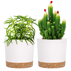 QCQHDU 5 inch plant pot white model front view with saucer
