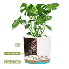 QCQHDU 5 inch plant pot with succulent plant inside