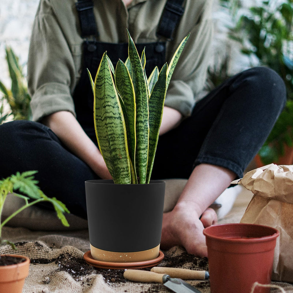 QCQHDU 6.5 inch pot with drainage holes close-up