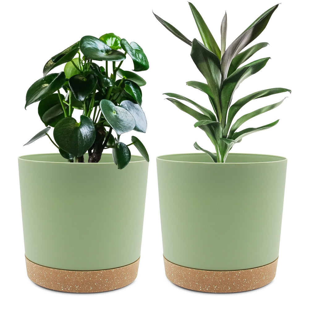 QCQHDU 8-inch green plant pot front view with saucer