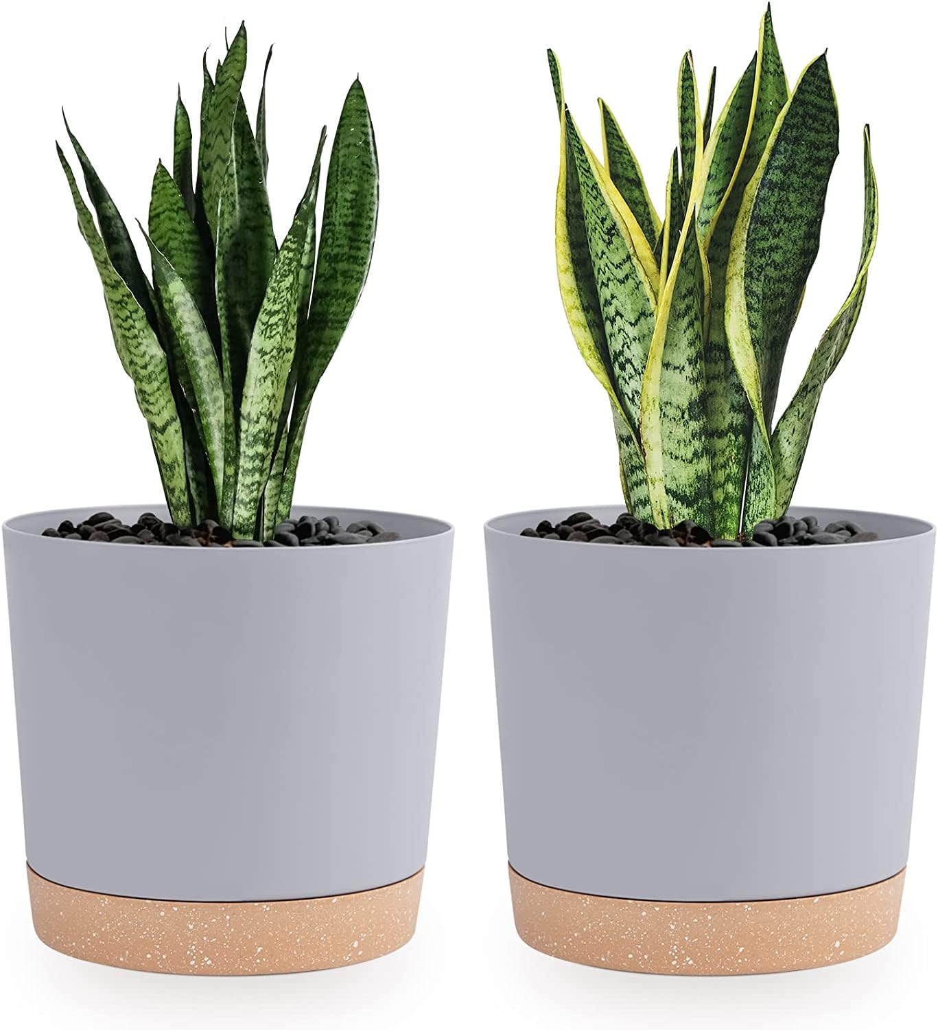 QCQHDU 8-inch light grey plant pot front view with saucer