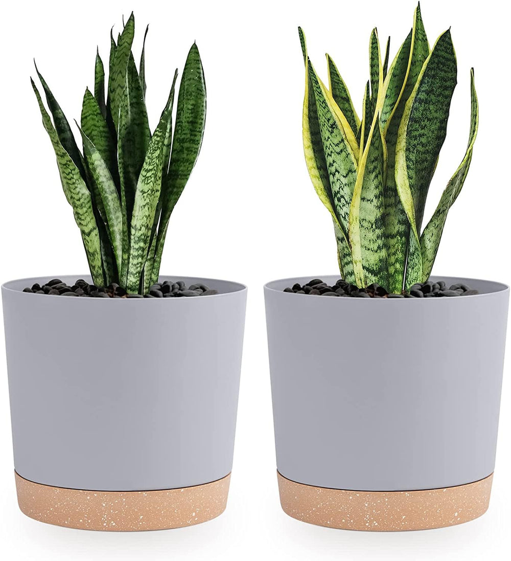 QCQHDU 8-inch light grey plant pot front view with saucer