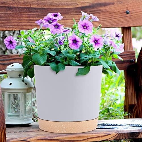 QCQHDU 8-inch plant pot display with multiple sizes