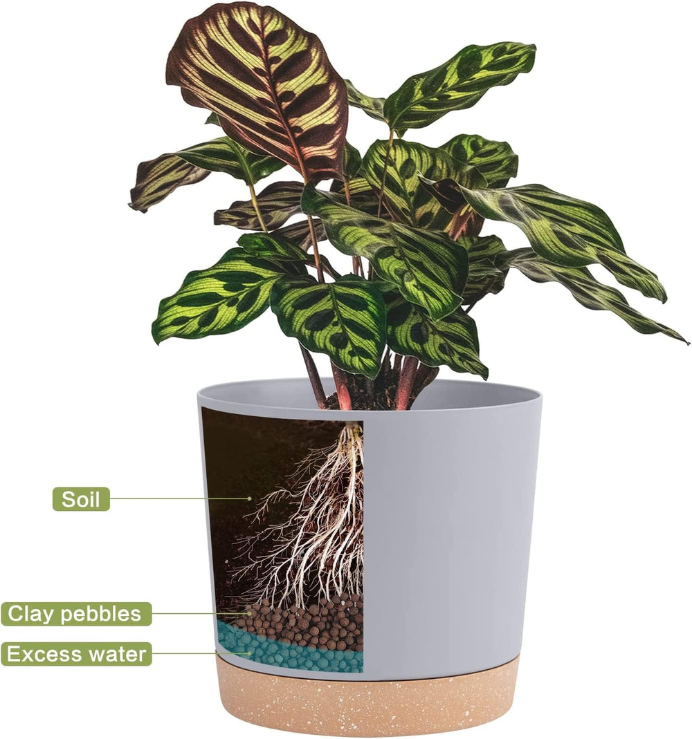 QCQHDU 8-inch plant pot on a window sill